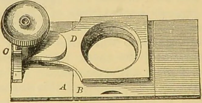 An illustration from The microscope: its history, construction, and application : being a familiar introduction to the use of the instrument and the study of microscopical sciences / by Jabez Hogg., 1869, leaf 221