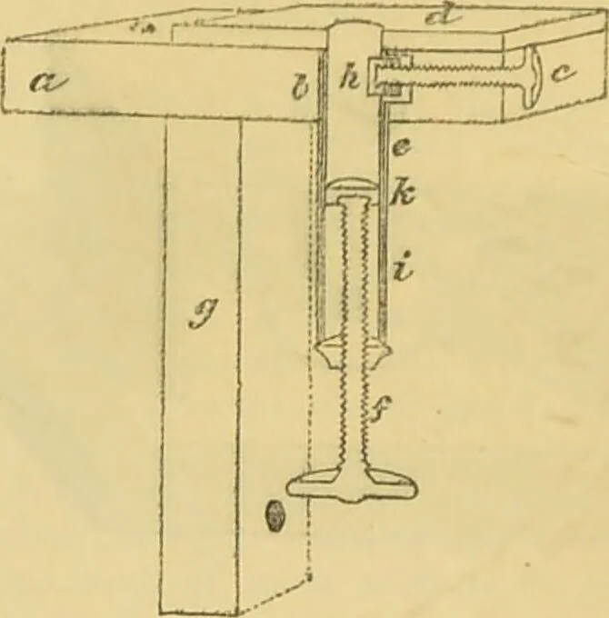 An illustration from The microscope: its history, construction, and application : being a familiar introduction to the use of the instrument and the study of microscopical sciences / by Jabez Hogg., 1869, leaf 231