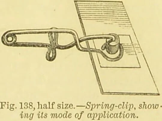 An illustration from The microscope: its history, construction, and application : being a familiar introduction to the use of the instrument and the study of microscopical sciences / by Jabez Hogg., 1869, leaf 240