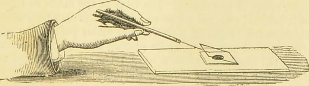 An illustration from The microscope: its history, construction, and application : being a familiar introduction to the use of the instrument and the study of microscopical sciences / by Jabez Hogg., 1869, leaf 242