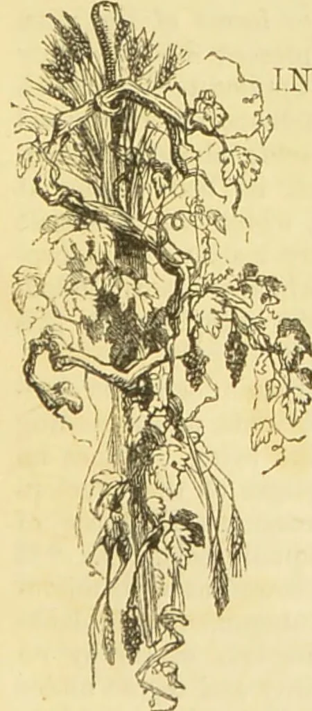 An illustration from The microscope: its history, construction, and application : being a familiar introduction to the use of the instrument and the study of microscopical sciences / by Jabez Hogg., 1869, leaf 282