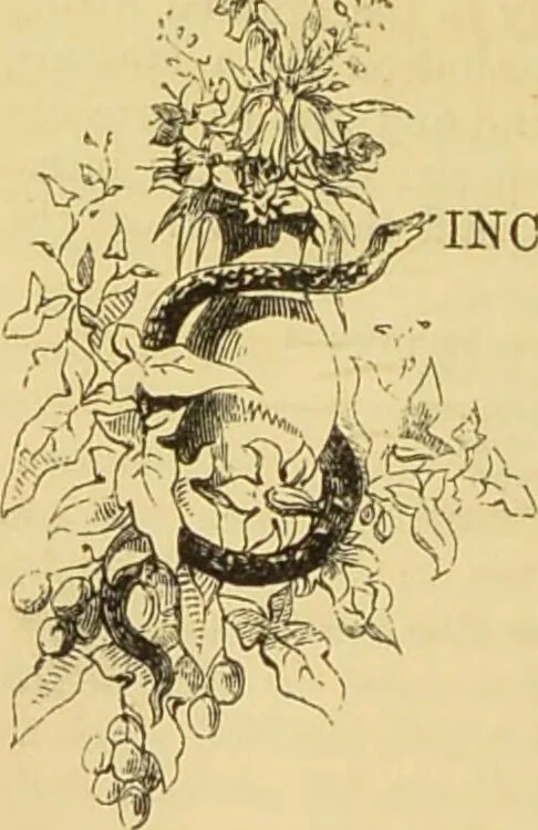 An illustration from The microscope: its history, construction, and application : being a familiar introduction to the use of the instrument and the study of microscopical sciences / by Jabez Hogg., 1869, leaf 397