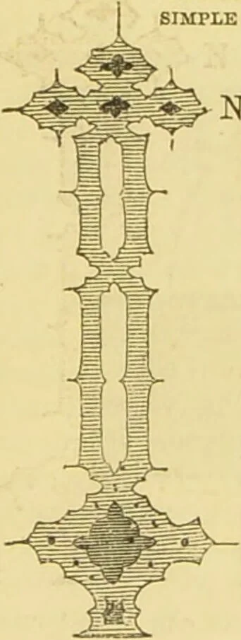 An illustration from The microscope: its history, construction, and application : being a familiar introduction to the use of the instrument and the study of microscopical sciences / by Jabez Hogg., 1869, leaf 40