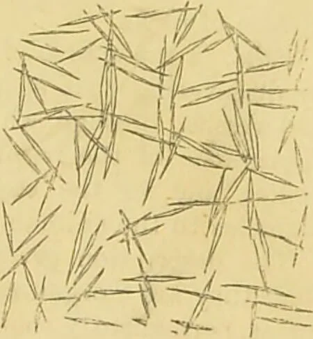 An illustration from The microscope: its history, construction, and application : being a familiar introduction to the use of the instrument and the study of microscopical sciences / by Jabez Hogg., 1869, leaf 417