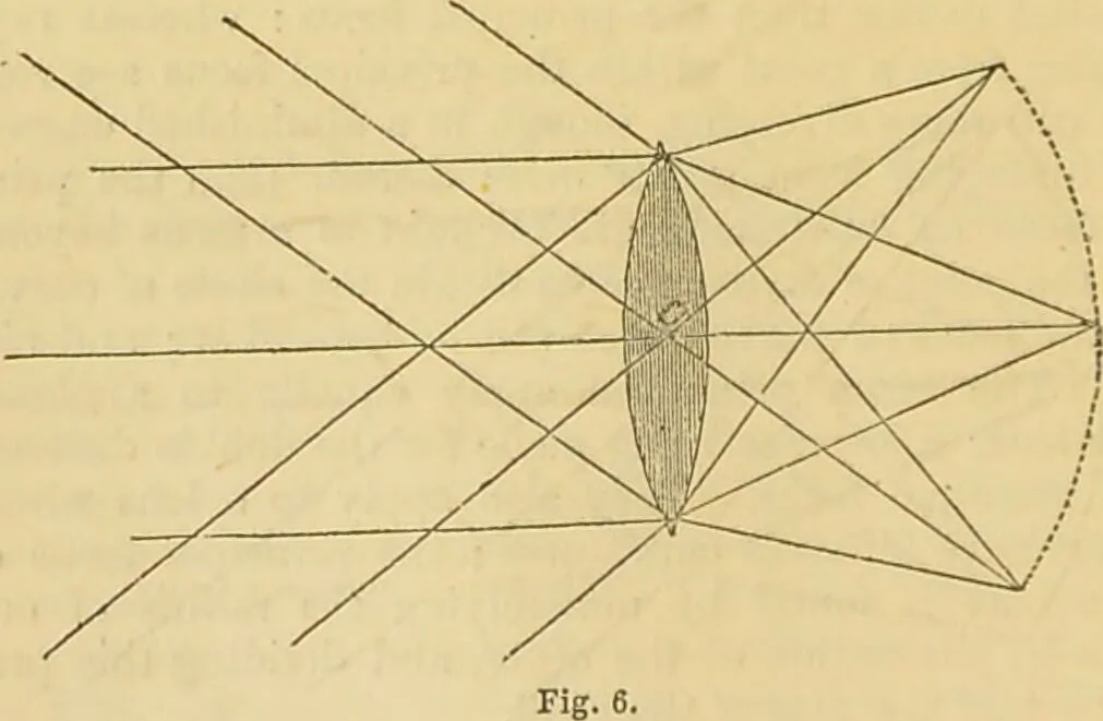 An illustration from The microscope: its history, construction, and application : being a familiar introduction to the use of the instrument and the study of microscopical sciences / by Jabez Hogg., 1869, leaf 45