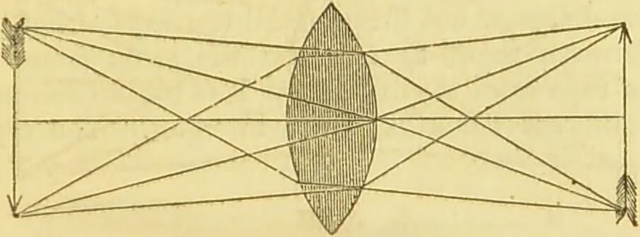 An illustration from The microscope: its history, construction, and application : being a familiar introduction to the use of the instrument and the study of microscopical sciences / by Jabez Hogg., 1869, leaf 46