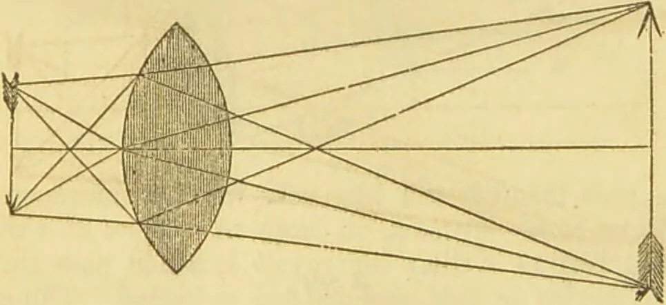 An illustration from The microscope: its history, construction, and application : being a familiar introduction to the use of the instrument and the study of microscopical sciences / by Jabez Hogg., 1869, leaf 46