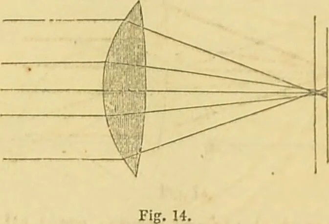 An illustration from The microscope: its history, construction, and application : being a familiar introduction to the use of the instrument and the study of microscopical sciences / by Jabez Hogg., 1869, leaf 51