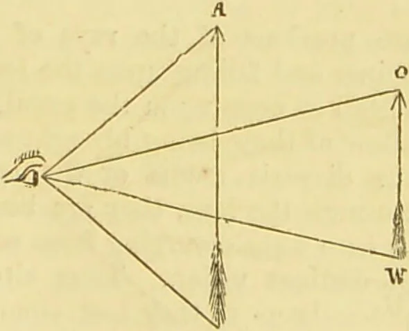 An illustration from The microscope: its history, construction, and application : being a familiar introduction to the use of the instrument and the study of microscopical sciences / by Jabez Hogg., 1869, leaf 54