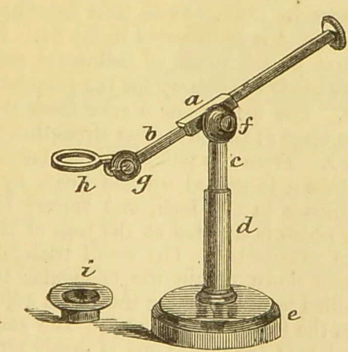 An illustration from The microscope: its history, construction, and application : being a familiar introduction to the use of the instrument and the study of microscopical sciences / by Jabez Hogg., 1869, leaf 60