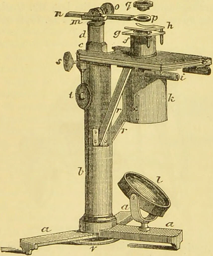 An illustration from The microscope: its history, construction, and application : being a familiar introduction to the use of the instrument and the study of microscopical sciences / by Jabez Hogg., 1869, leaf 62