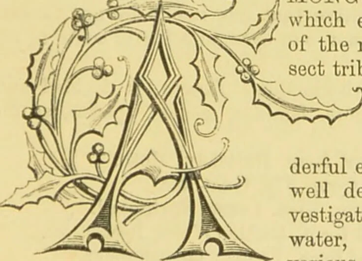An illustration from The microscope: its history, construction, and application : being a familiar introduction to the use of the instrument and the study of microscopical sciences / by Jabez Hogg., 1869, leaf 620
