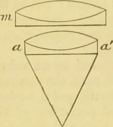 An illustration from The microscope: its history, construction, and application : being a familiar introduction to the use of the instrument and the study of microscopical sciences / by Jabez Hogg., 1869, leaf 67