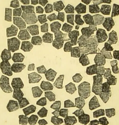 An illustration from The microscope: its history, construction, and application : being a familiar introduction to the use of the instrument and the study of microscopical sciences / by Jabez Hogg., 1869, leaf 718