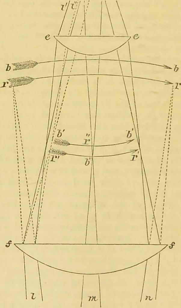 An illustration from The microscope: its history, construction, and application : being a familiar introduction to the use of the instrument and the study of microscopical sciences / by Jabez Hogg., 1869, leaf 73