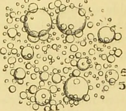 An illustration from The microscope: its history, construction, and application : being a familiar introduction to the use of the instrument and the study of microscopical sciences / by Jabez Hogg., 1869, leaf 737