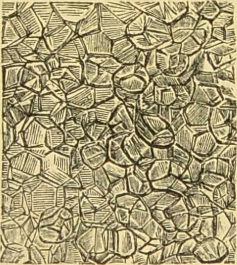 An illustration from The microscope: its history, construction, and application : being a familiar introduction to the use of the instrument and the study of microscopical sciences / by Jabez Hogg., 1869, leaf 745