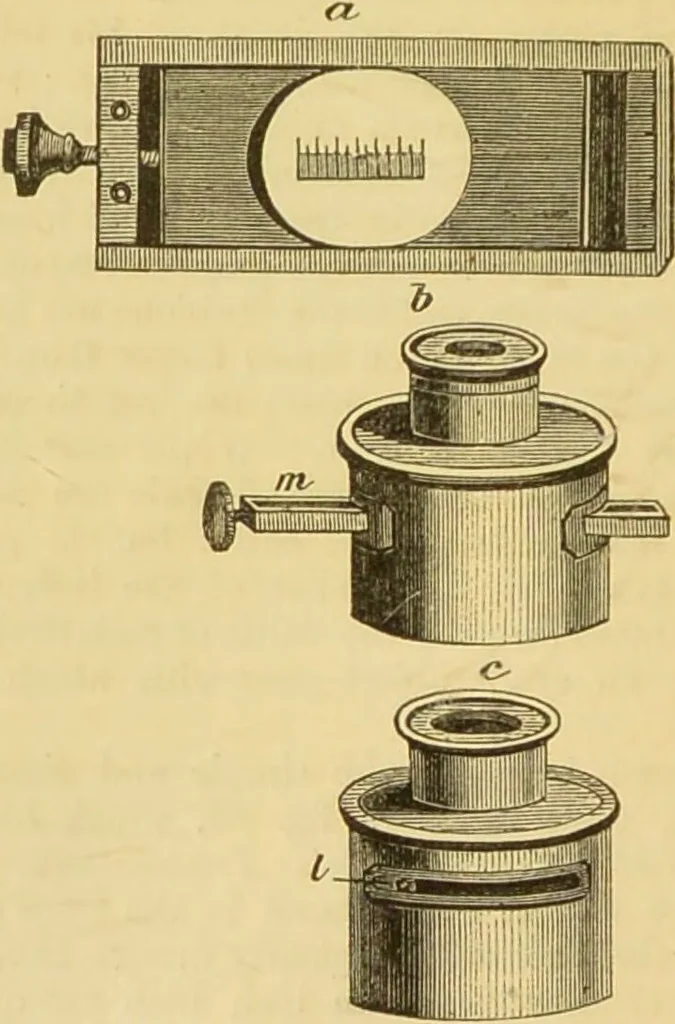 An illustration from The microscope: its history, construction, and application : being a familiar introduction to the use of the instrument and the study of microscopical sciences / by Jabez Hogg., 1869, leaf 77