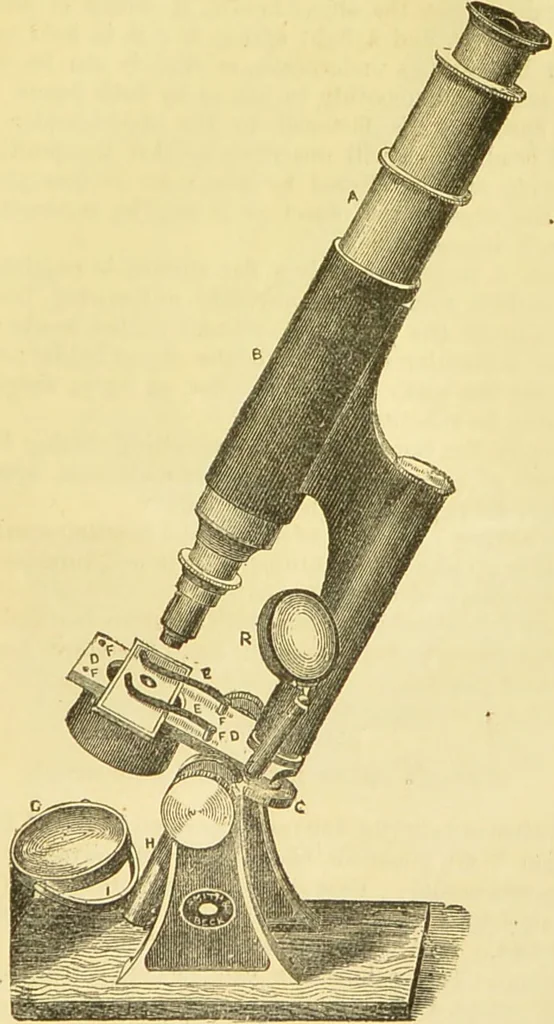 An illustration from The microscope: its history, construction, and application : being a familiar introduction to the use of the instrument and the study of microscopical sciences / by Jabez Hogg., 1869, leaf 788