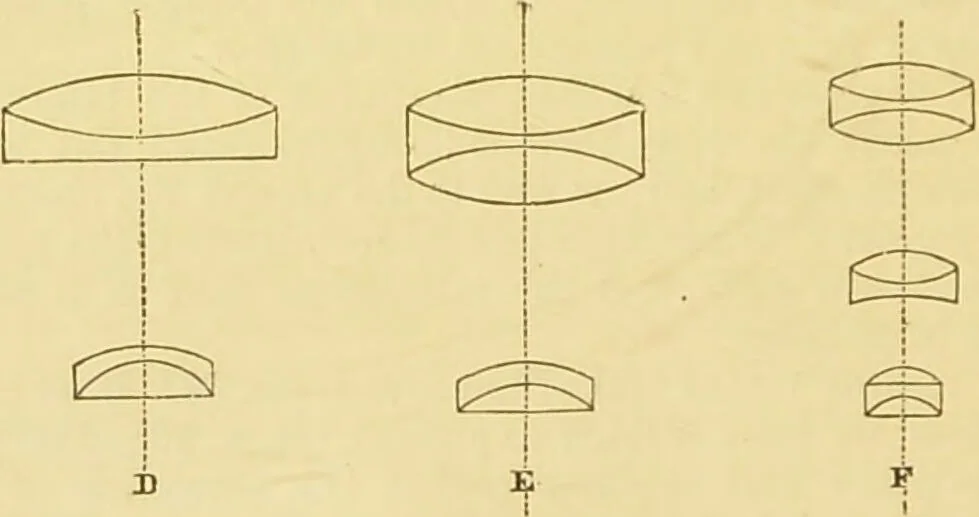 An illustration from The microscope: its history, construction, and application : being a familiar introduction to the use of the instrument and the study of microscopical sciences / by Jabez Hogg., 1869, leaf 97
