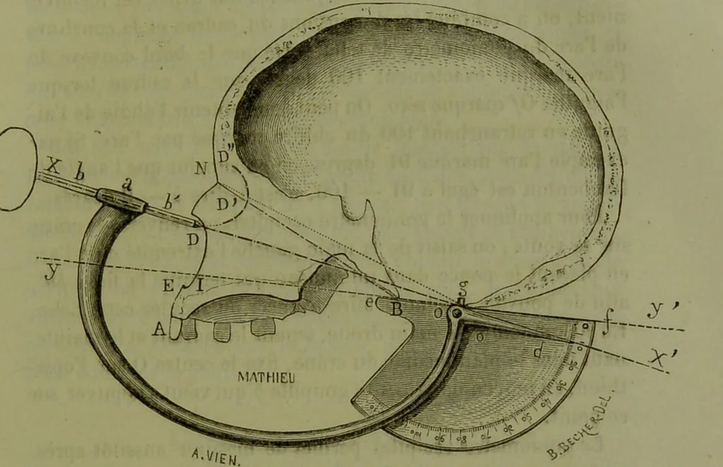 An illustration from Instructions craniologiques et craniométriques de la Société d'anthropologie de Paris / par Paul Broca., 1875, leaf 103