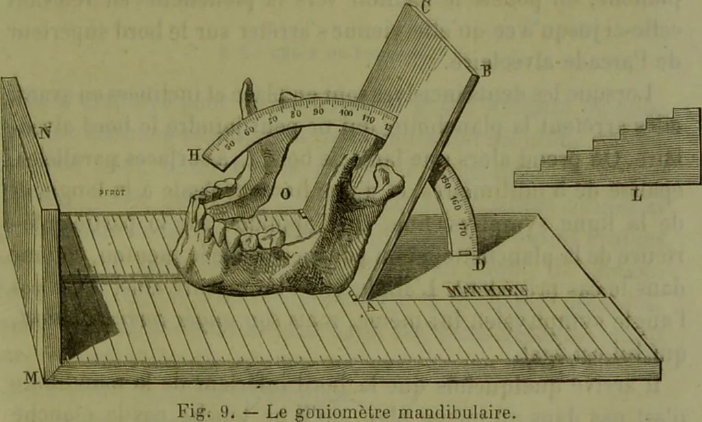 An illustration from Instructions craniologiques et craniométriques de la Société d'anthropologie de Paris / par Paul Broca., 1875, leaf 107