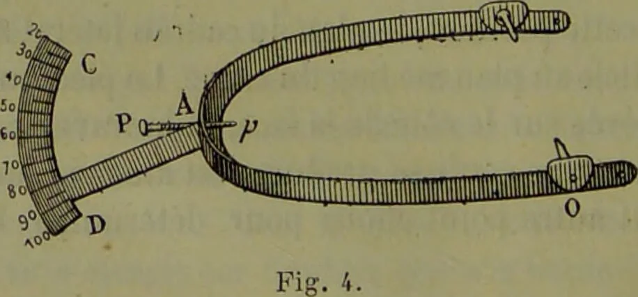 An illustration from Instructions craniologiques et craniométriques de la Société d'anthropologie de Paris / par Paul Broca., 1875, leaf 96