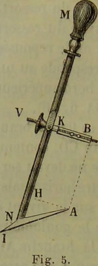 An illustration from Instructions craniologiques et craniométriques de la Société d'anthropologie de Paris / par Paul Broca., 1875, leaf 98