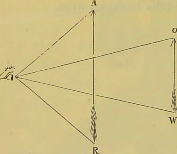 An illustration from The microscope : its history, construction, and application, being a familiar introduction to the use of the instrument, and the study of microscopical science / by Jabez Hogg., 1898, leaf 104