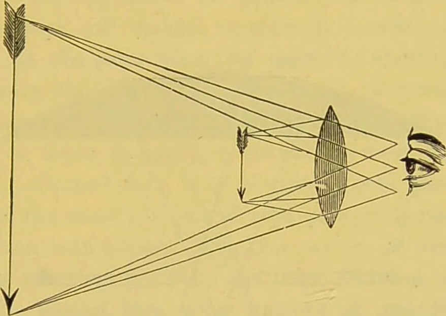 An illustration from The microscope : its history, construction, and application, being a familiar introduction to the use of the instrument, and the study of microscopical science / by Jabez Hogg., 1898, leaf 105