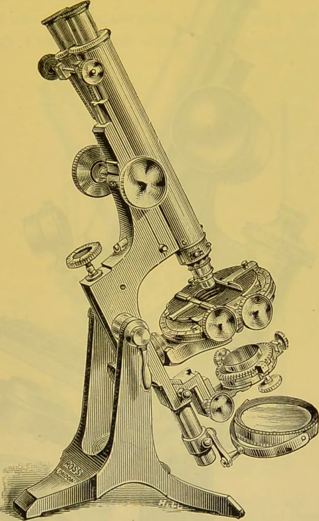 An illustration from The microscope : its history, construction, and application, being a familiar introduction to the use of the instrument, and the study of microscopical science / by Jabez Hogg., 1898, leaf 115