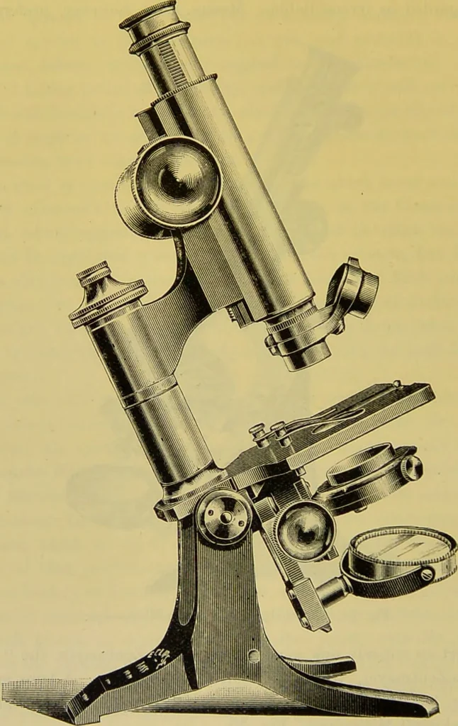 An illustration from The microscope : its history, construction, and application, being a familiar introduction to the use of the instrument, and the study of microscopical science / by Jabez Hogg., 1898, leaf 116
