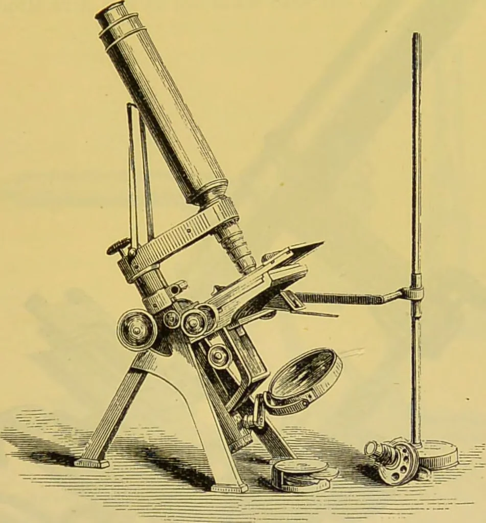 An illustration from The microscope : its history, construction, and application, being a familiar introduction to the use of the instrument, and the study of microscopical science / by Jabez Hogg., 1898, leaf 117