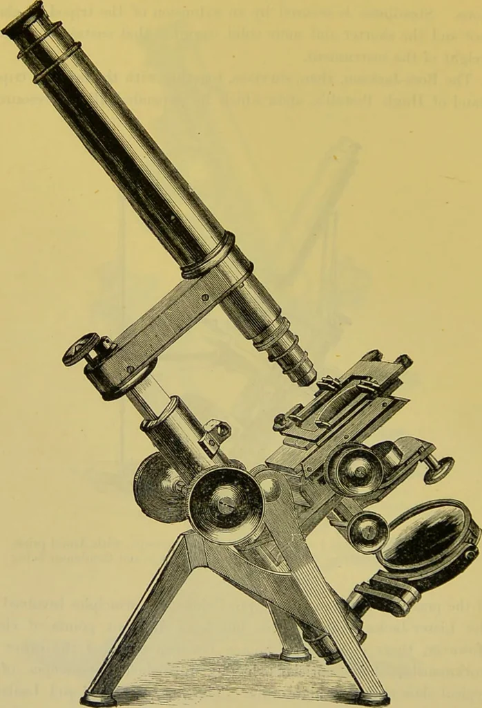 An illustration from The microscope : its history, construction, and application, being a familiar introduction to the use of the instrument, and the study of microscopical science / by Jabez Hogg., 1898, leaf 118