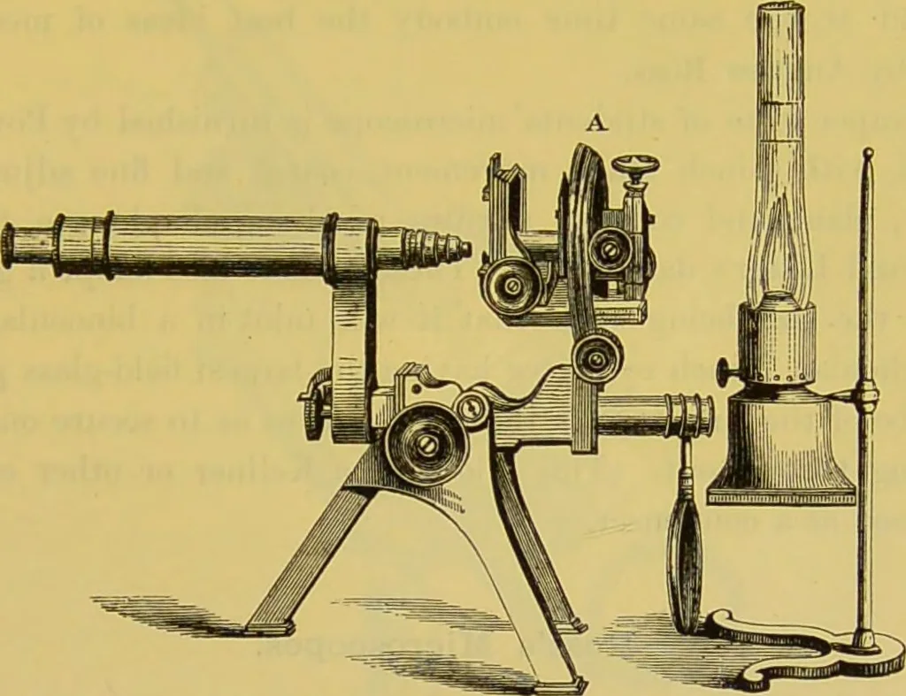 An illustration from The microscope : its history, construction, and application, being a familiar introduction to the use of the instrument, and the study of microscopical science / by Jabez Hogg., 1898, leaf 119