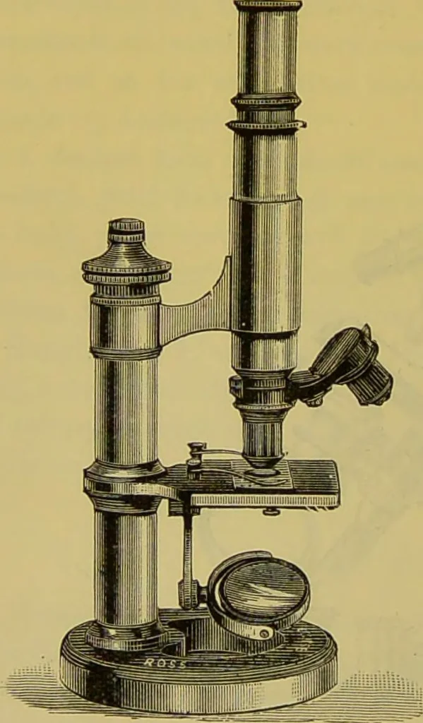 An illustration from The microscope : its history, construction, and application, being a familiar introduction to the use of the instrument, and the study of microscopical science / by Jabez Hogg., 1898, leaf 122