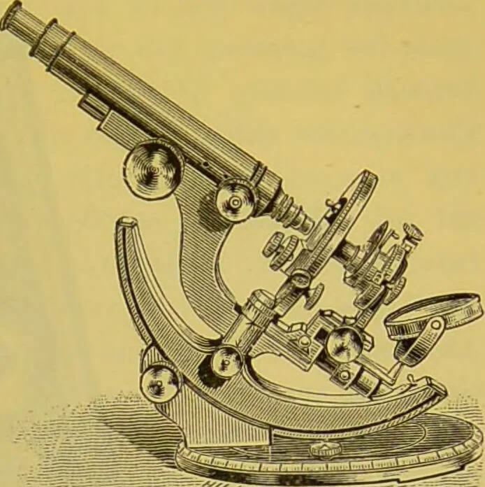 An illustration from The microscope : its history, construction, and application, being a familiar introduction to the use of the instrument, and the study of microscopical science / by Jabez Hogg., 1898, leaf 123
