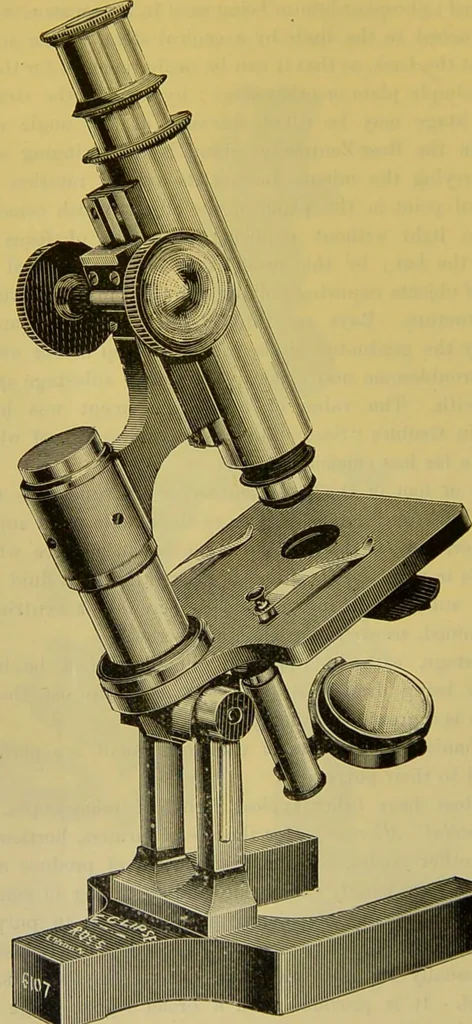 An illustration from The microscope : its history, construction, and application, being a familiar introduction to the use of the instrument, and the study of microscopical science / by Jabez Hogg., 1898, leaf 126