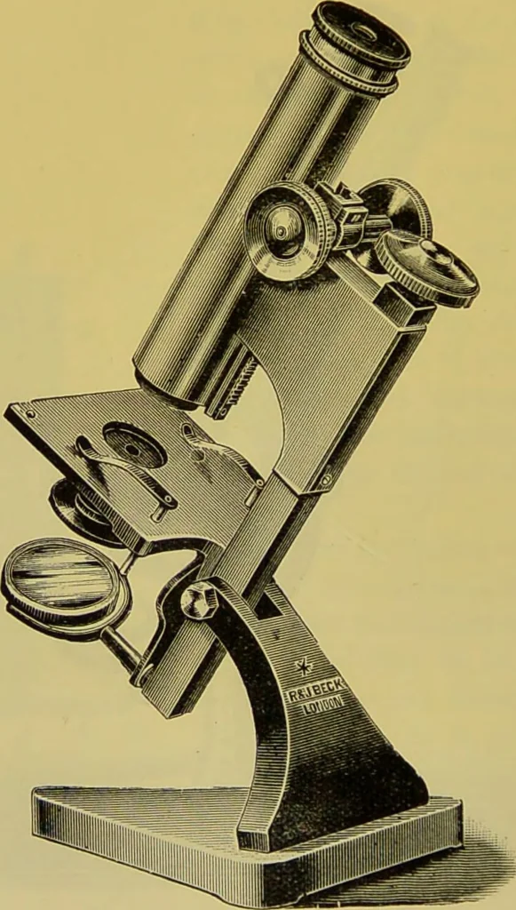 An illustration from The microscope : its history, construction, and application, being a familiar introduction to the use of the instrument, and the study of microscopical science / by Jabez Hogg., 1898, leaf 132