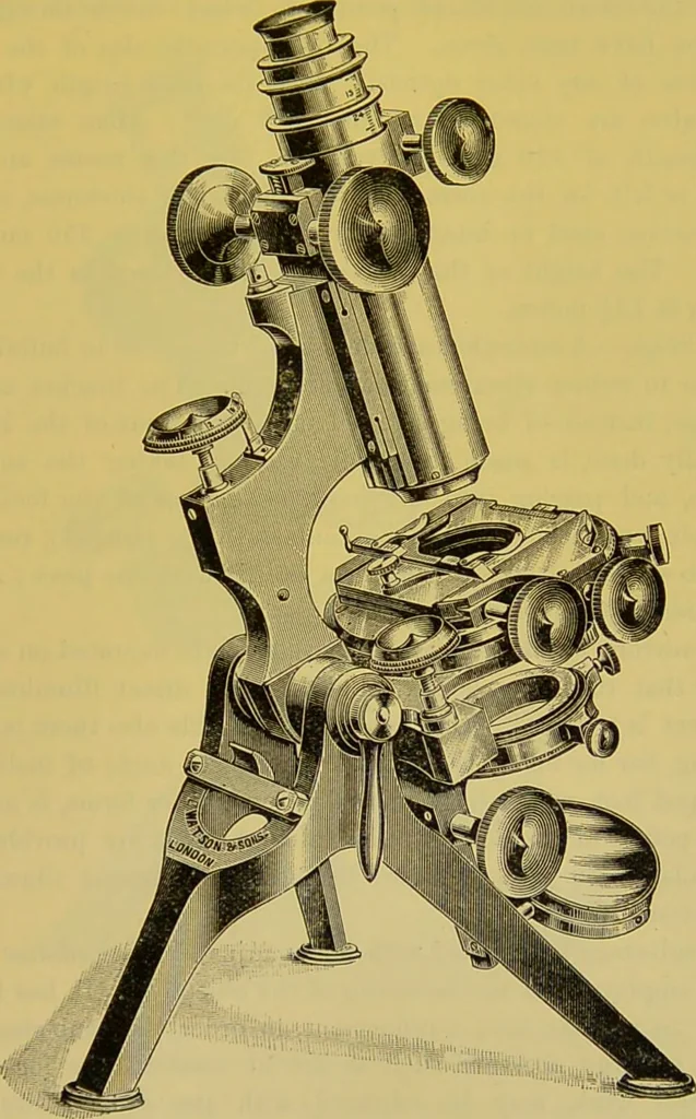 An illustration from The microscope : its history, construction, and application, being a familiar introduction to the use of the instrument, and the study of microscopical science / by Jabez Hogg., 1898, leaf 141