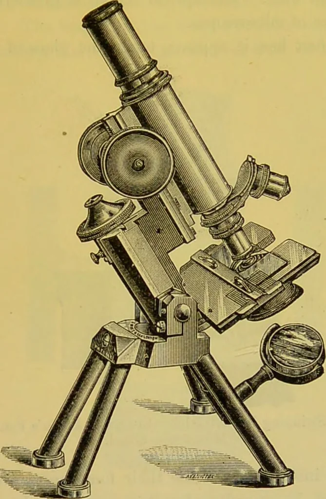 An illustration from The microscope : its history, construction, and application, being a familiar introduction to the use of the instrument, and the study of microscopical science / by Jabez Hogg., 1898, leaf 145