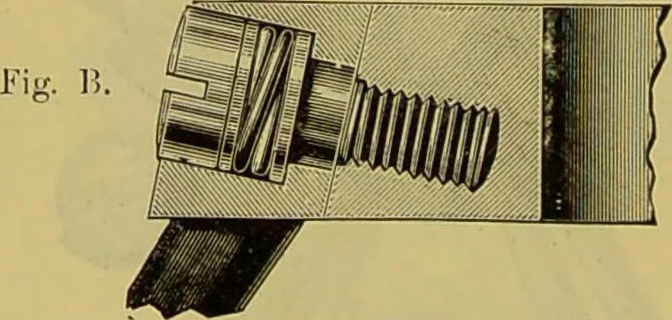 An illustration from The microscope : its history, construction, and application, being a familiar introduction to the use of the instrument, and the study of microscopical science / by Jabez Hogg., 1898, leaf 146