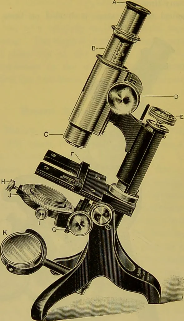 An illustration from The microscope : its history, construction, and application, being a familiar introduction to the use of the instrument, and the study of microscopical science / by Jabez Hogg., 1898, leaf 154