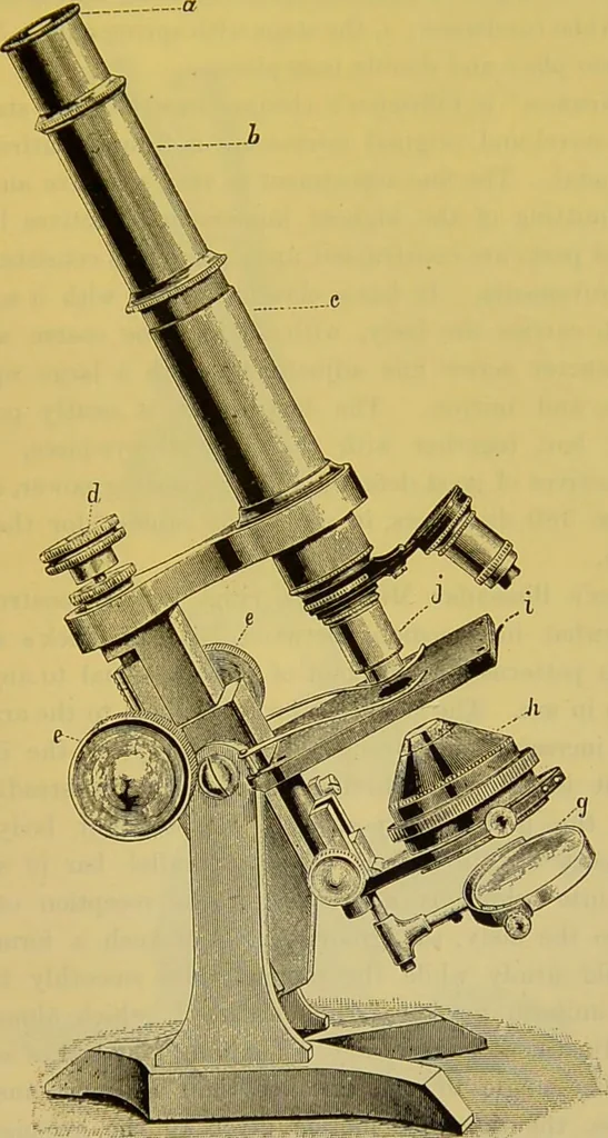 An illustration from The microscope : its history, construction, and application, being a familiar introduction to the use of the instrument, and the study of microscopical science / by Jabez Hogg., 1898, leaf 159