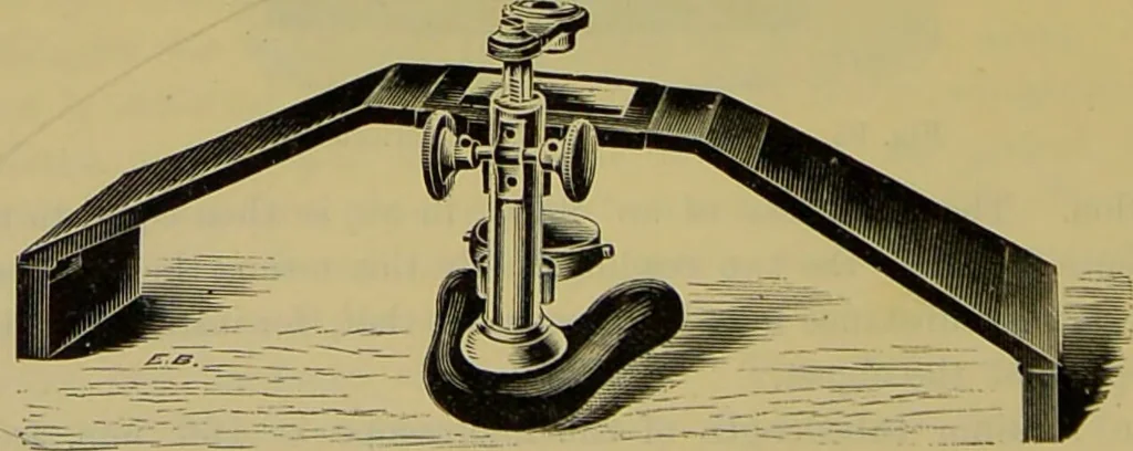 An illustration from The microscope : its history, construction, and application, being a familiar introduction to the use of the instrument, and the study of microscopical science / by Jabez Hogg., 1898, leaf 164