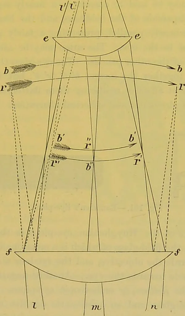 An illustration from The microscope : its history, construction, and application, being a familiar introduction to the use of the instrument, and the study of microscopical science / by Jabez Hogg., 1898, leaf 173