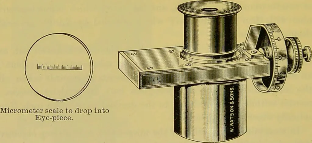An illustration from The microscope : its history, construction, and application, being a familiar introduction to the use of the instrument, and the study of microscopical science / by Jabez Hogg., 1898, leaf 178
