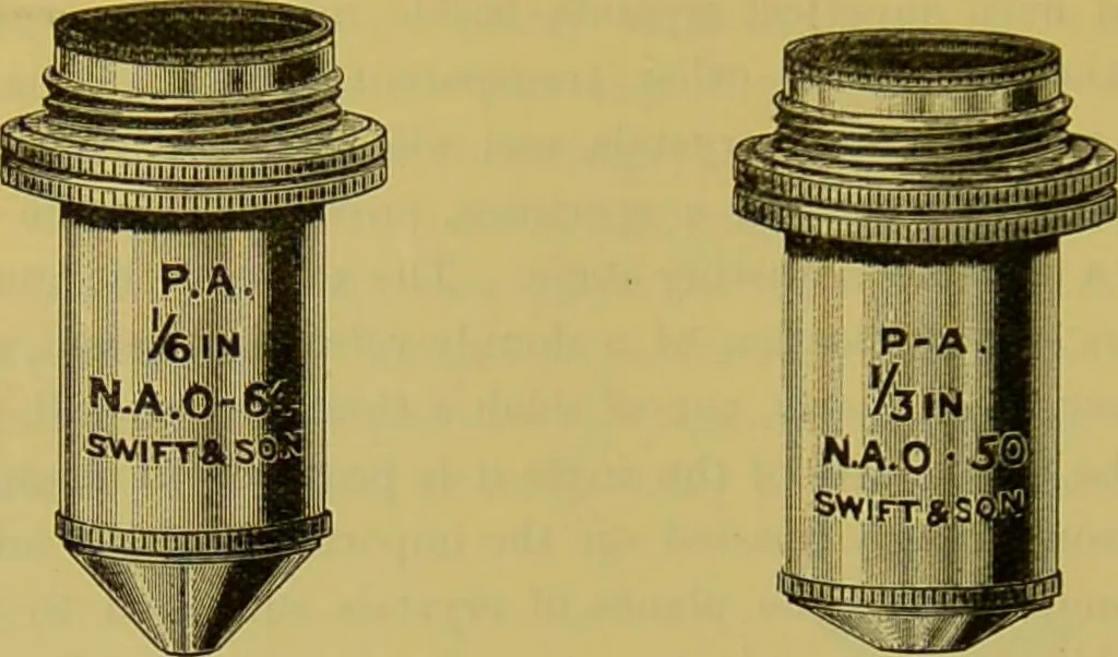 An illustration from The microscope : its history, construction, and application, being a familiar introduction to the use of the instrument, and the study of microscopical science / by Jabez Hogg., 1898, leaf 184