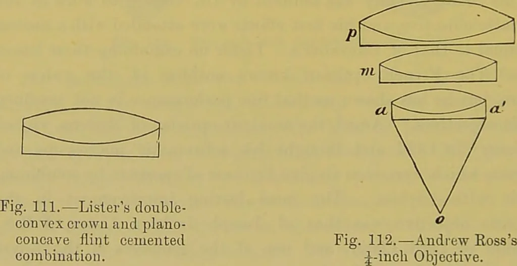 An illustration from The microscope : its history, construction, and application, being a familiar introduction to the use of the instrument, and the study of microscopical science / by Jabez Hogg., 1898, leaf 186