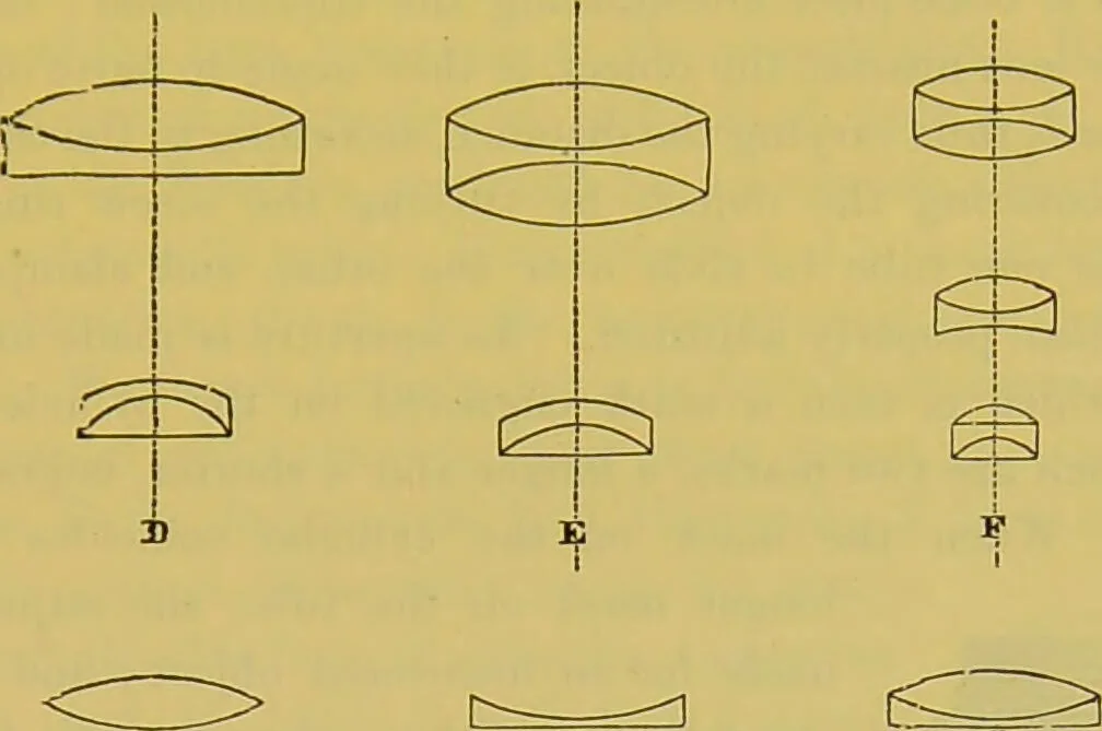 An illustration from The microscope : its history, construction, and application, being a familiar introduction to the use of the instrument, and the study of microscopical science / by Jabez Hogg., 1898, leaf 187